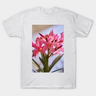 Pink lillies closeup T-Shirt